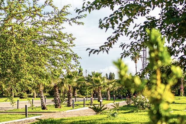 Jardín