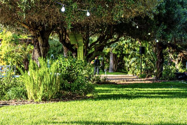 Jardín