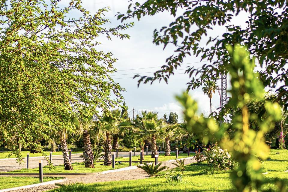 Jardín