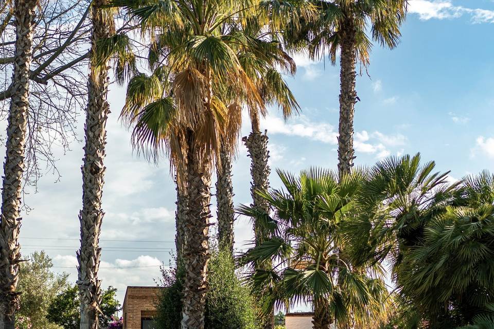 Jardín