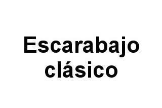 Escarabajo clásico