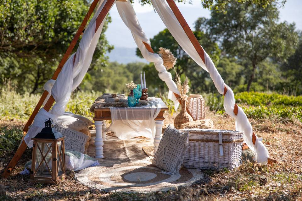 Picnic en bosque