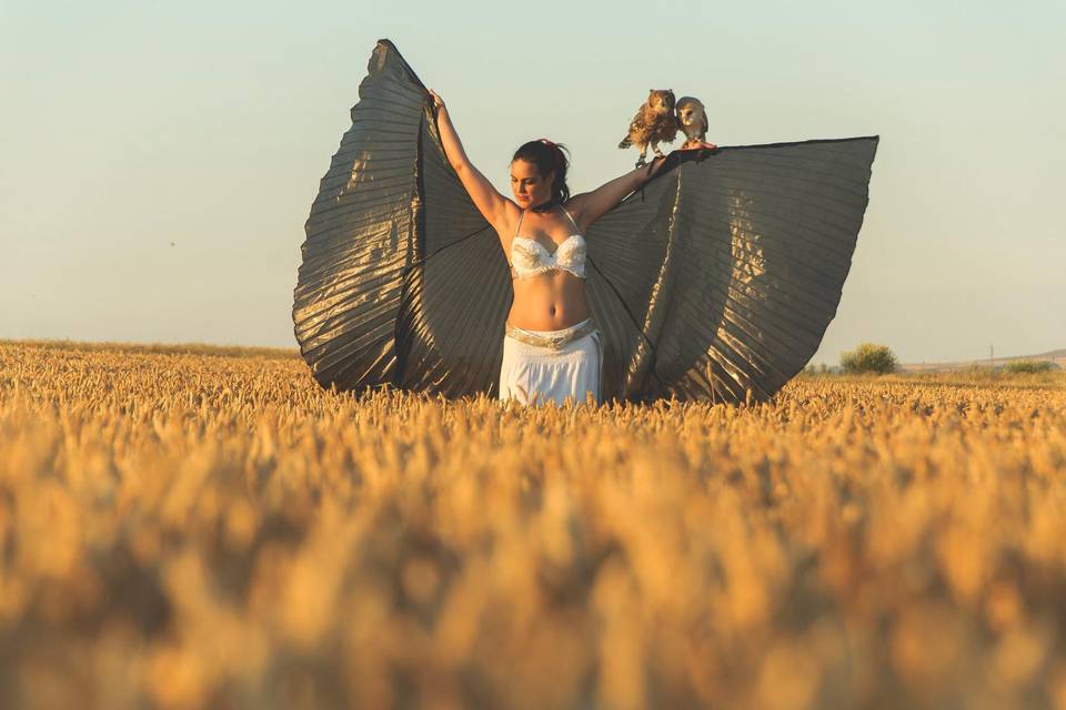 Danza con aves rapaces