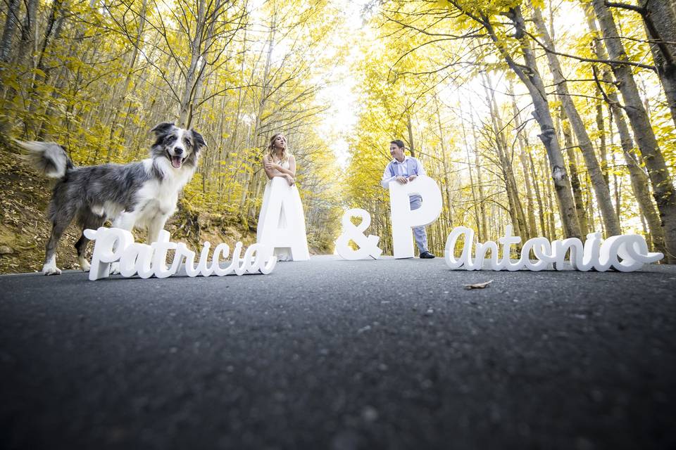 Fotografía de boda