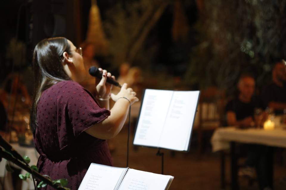 Concierto entre viñedos