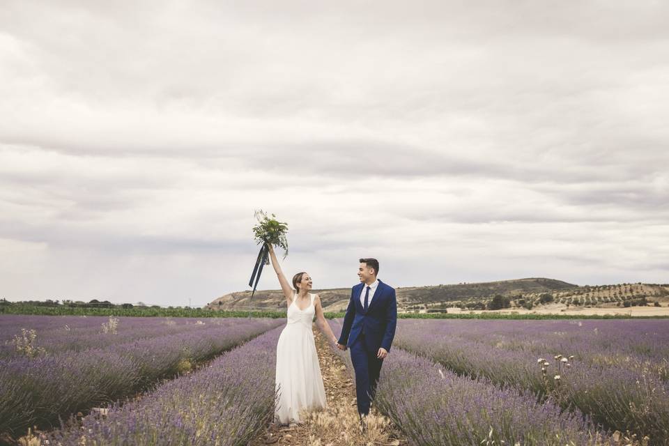 N&N, campo de lavanda