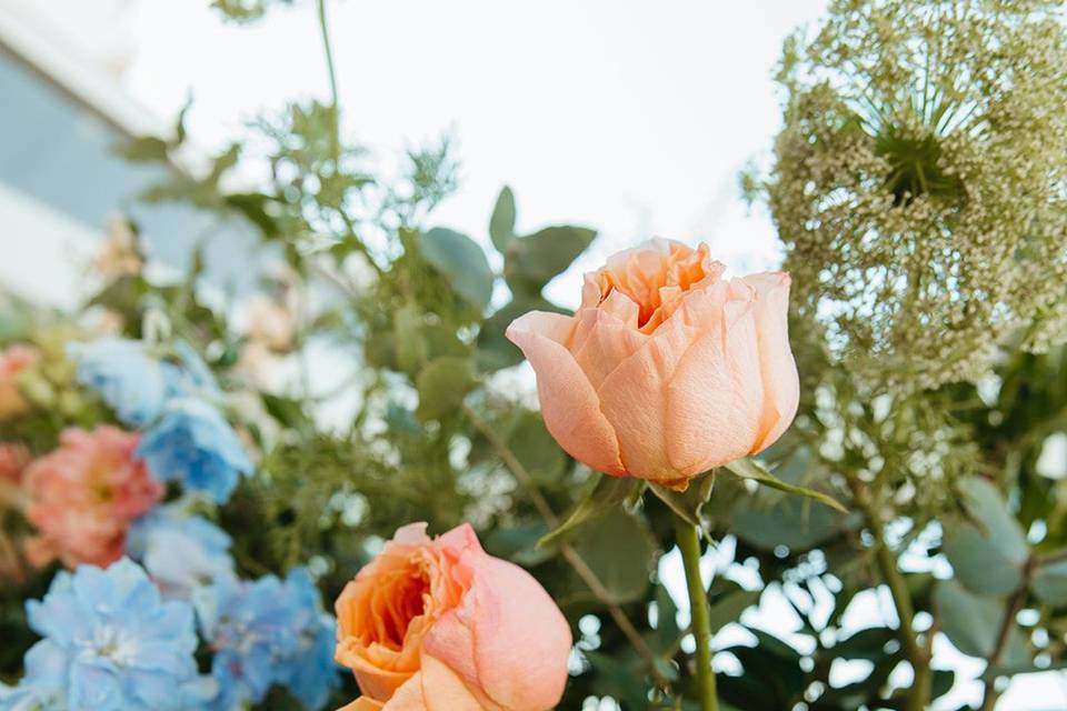 Las Flores de Reding
