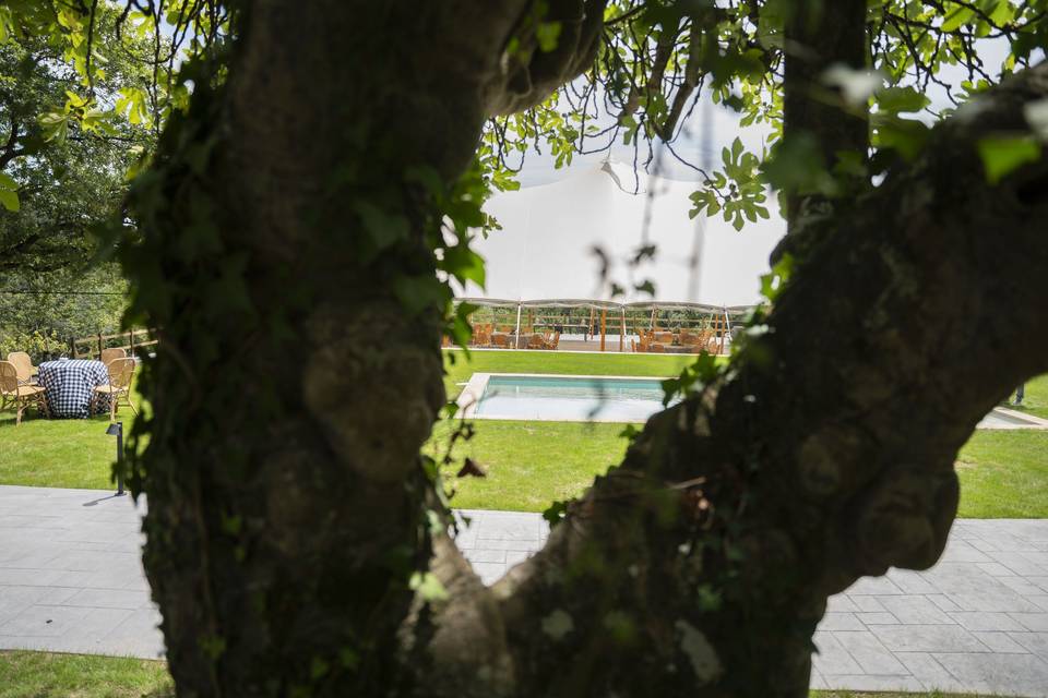 Jardin & carpa banquete