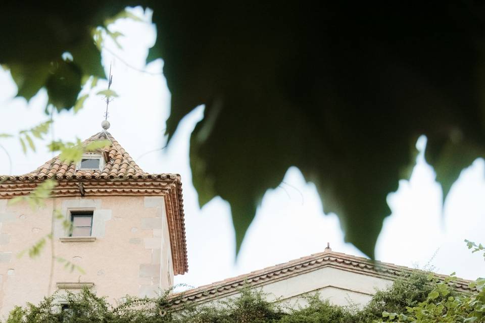 Foto y video de bodas