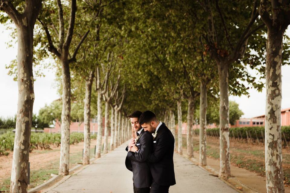 Reportaje de boda