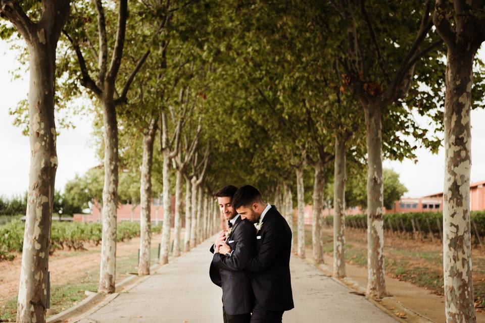 WabiSabi Wedding Photographers