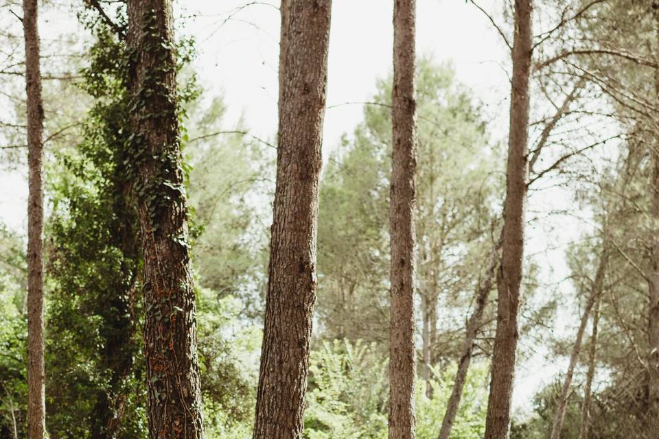 Fotografía-de-bodas