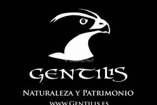 Gentilis