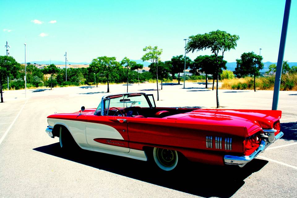 Ford tbird