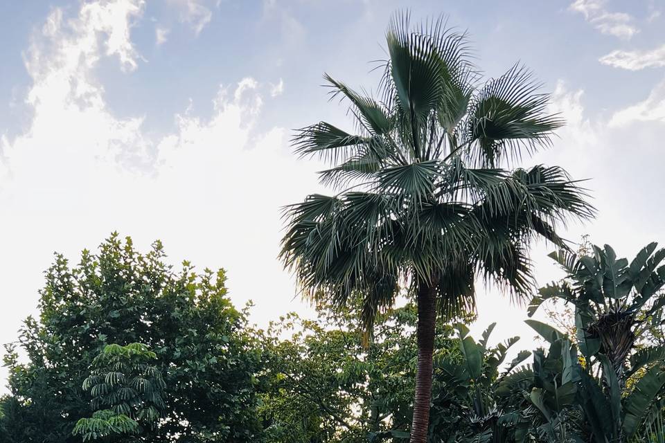 Finca Botania