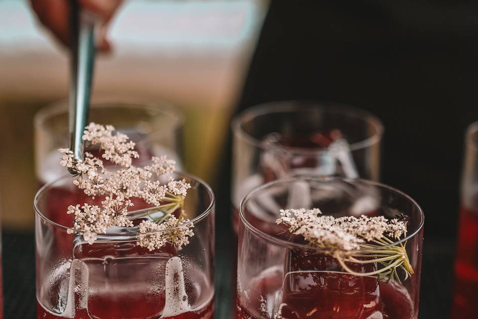 Hibusccus Cocktail