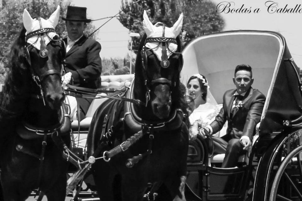 Bodas a caballo Villablanca