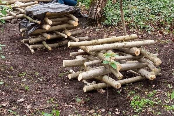Cultivo de setas en troncos