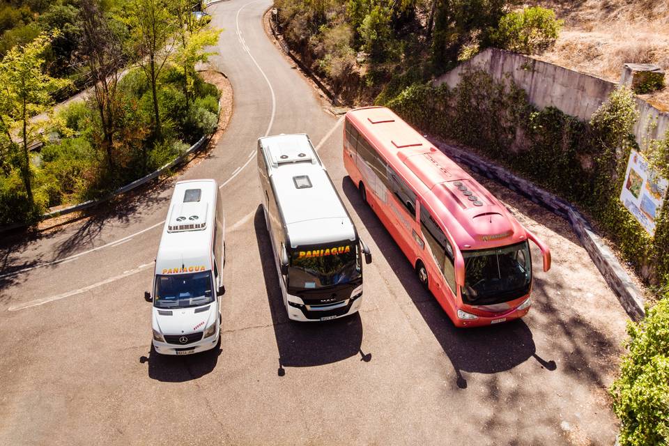 Autocares Paniagua
