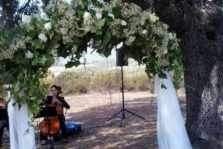 Arco con flor fresca para ceremonia