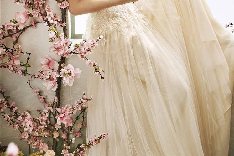 Eva Navarro Novias