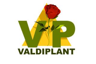 Logotipo Valdiplant