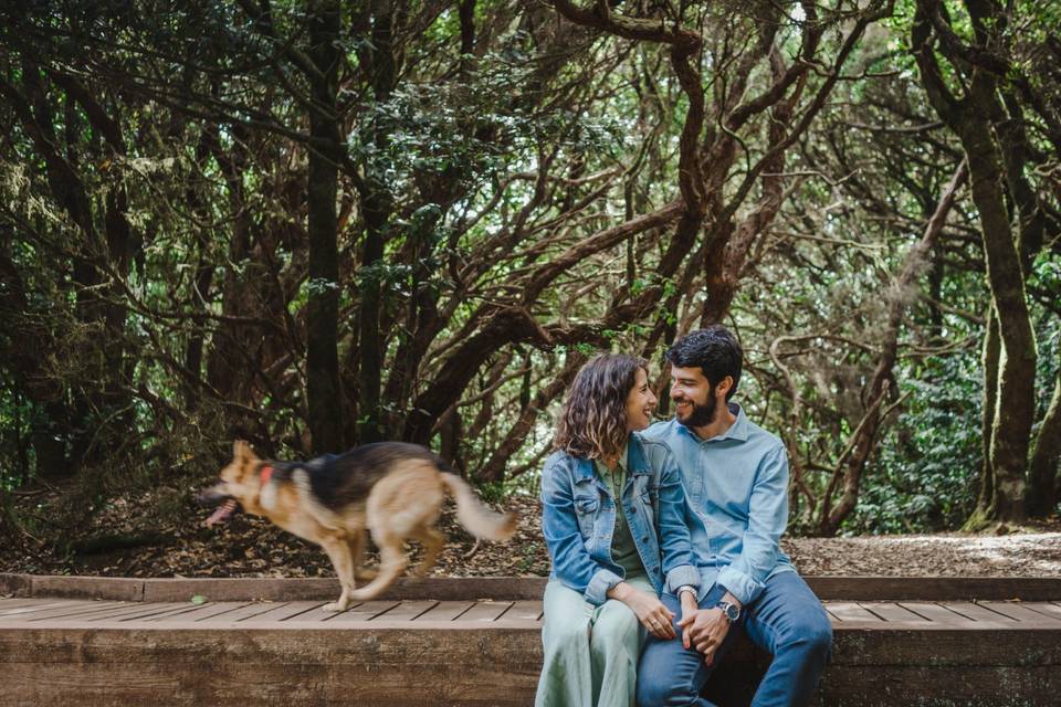 Preboda en La Palma