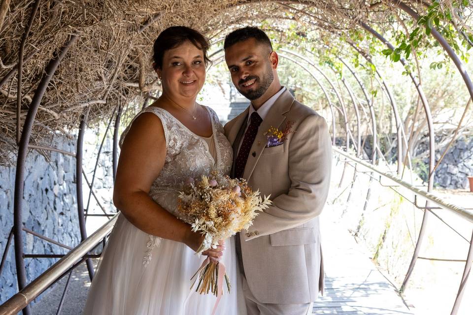 Novios