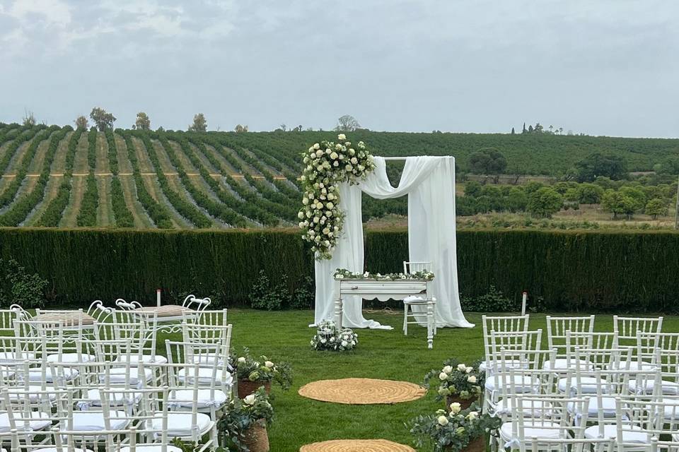Bodas civiles