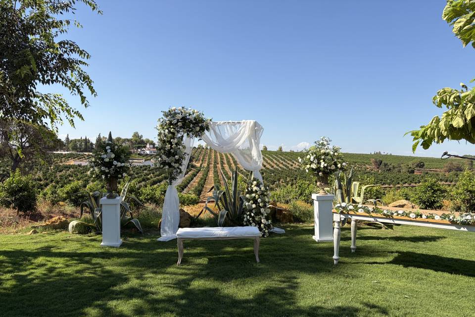 Bodas civiles