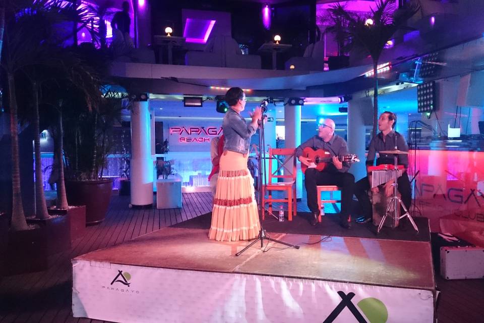 Pastora Flamenco Live