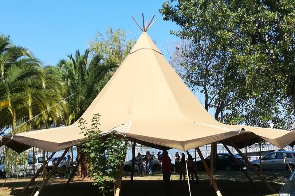 Carpa tipy