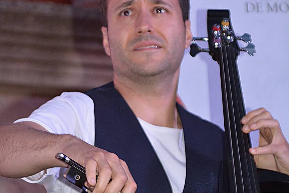 David Chelist