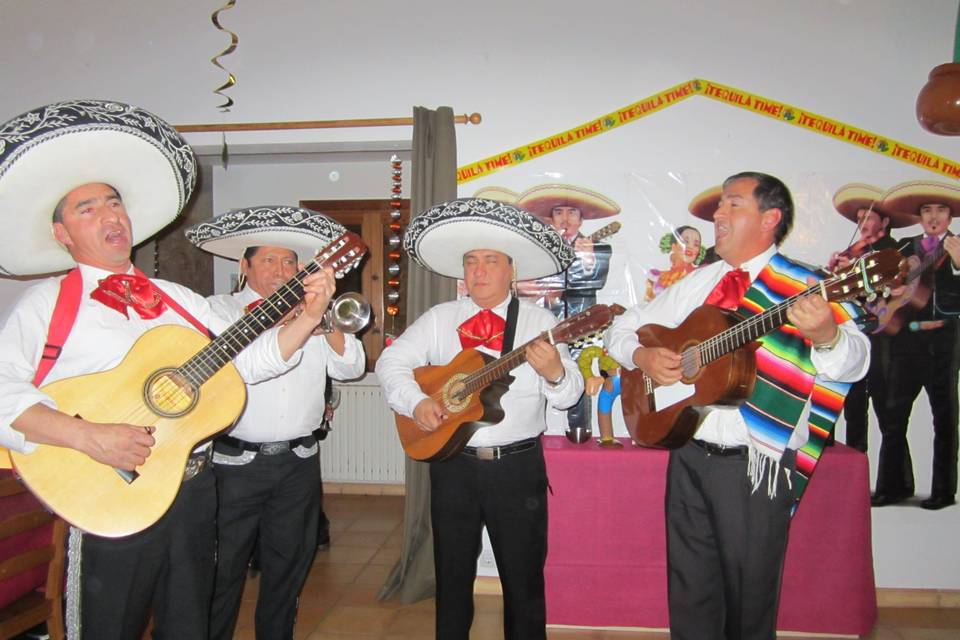 Mariachis