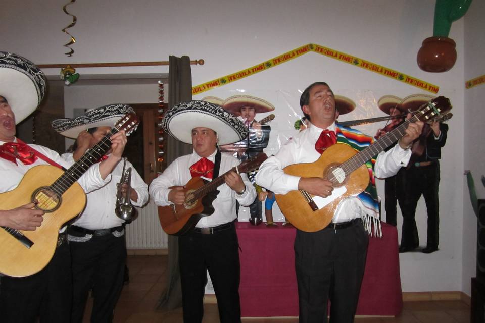 Mariachis