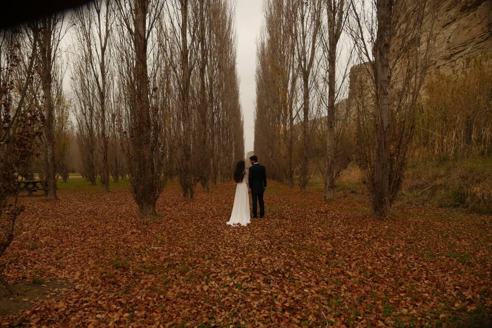 Postboda equipo Aloha