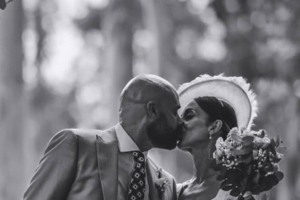 Novios