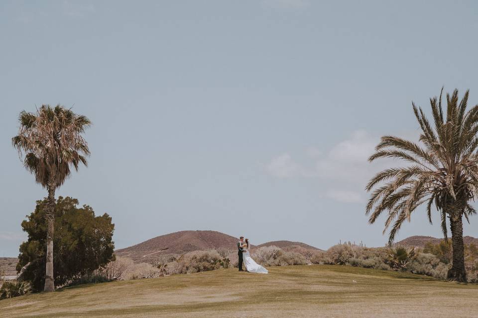 T&P Postboda