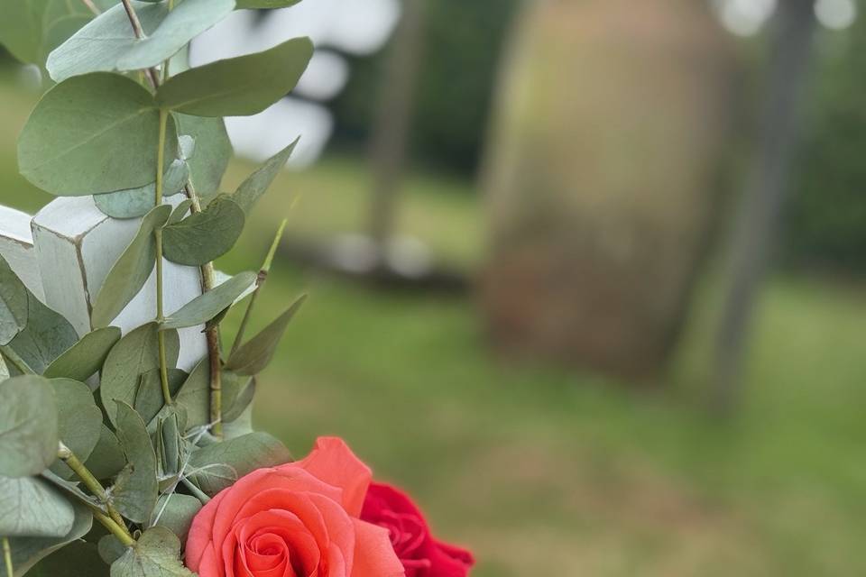 Sillas ceremonia