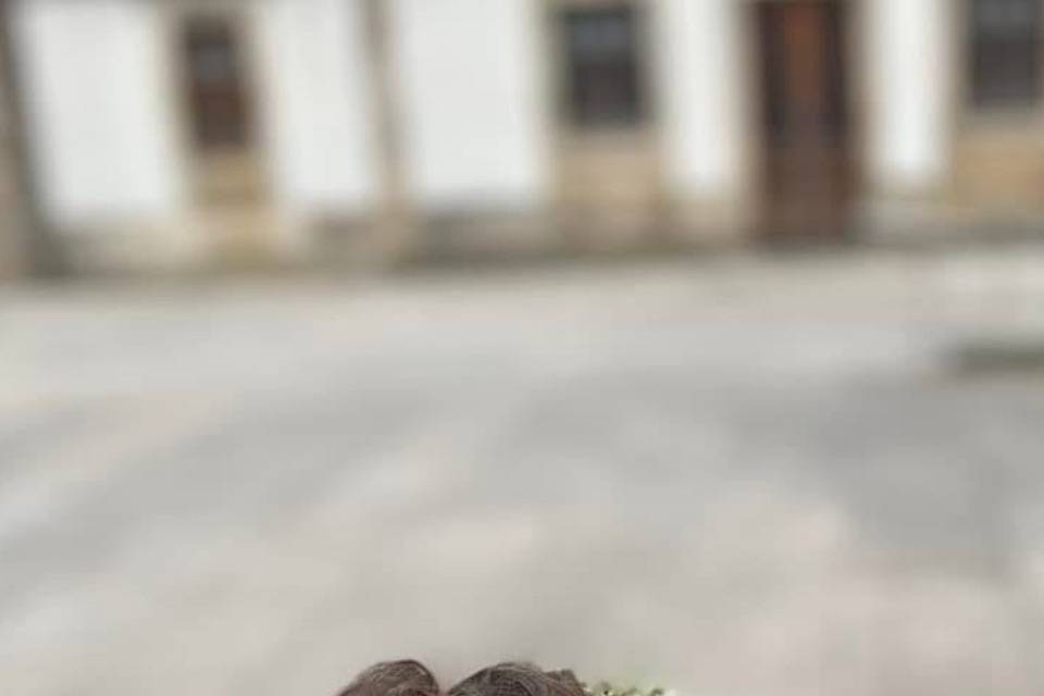 Coronitas