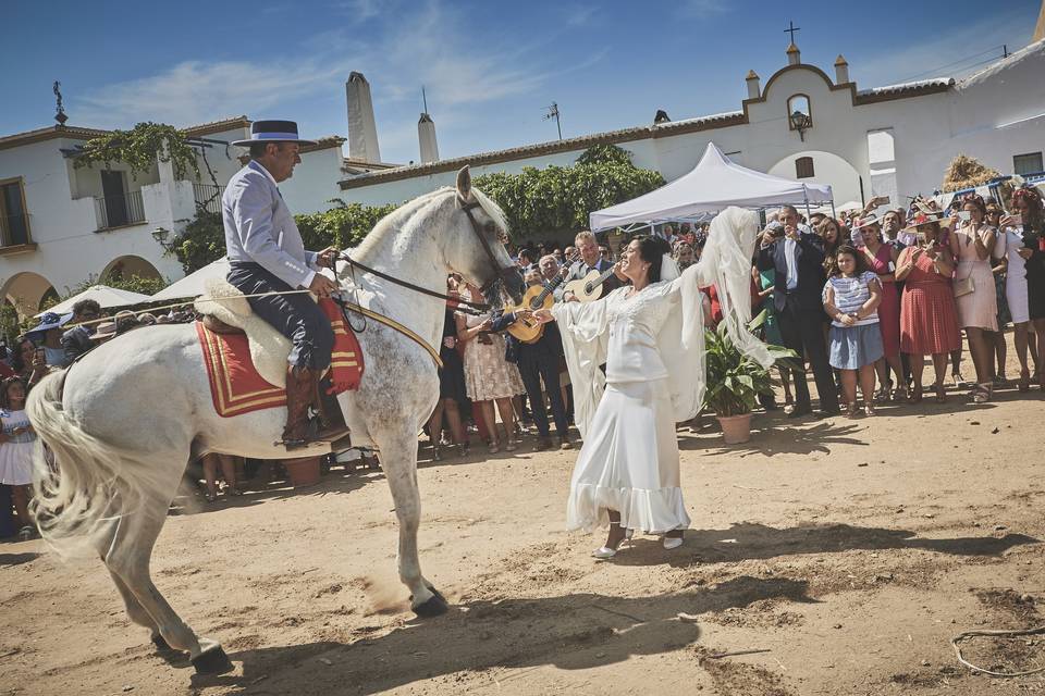 Novia bailando con caballo