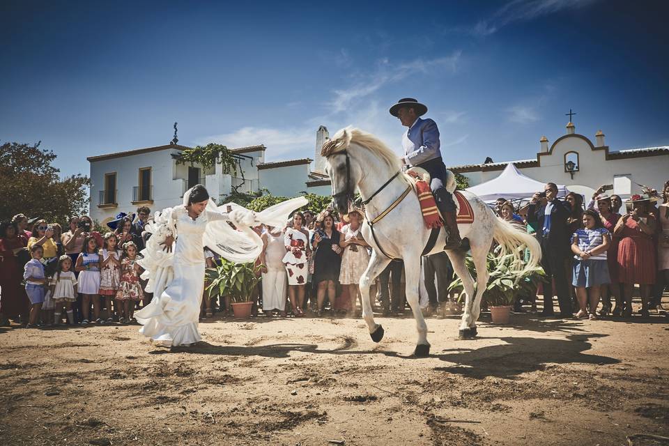 Novia bailando con caballo