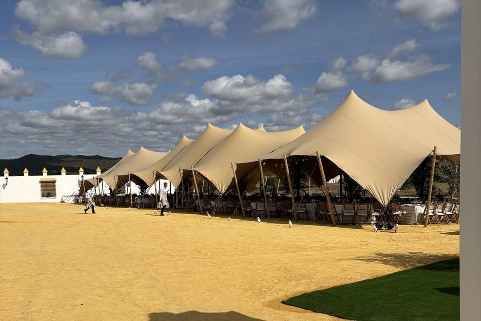 Carpa frente al cortijo