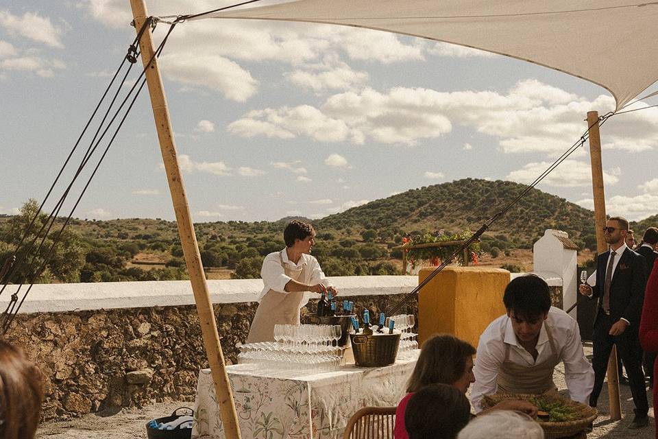 Cocktail en plena dehesa