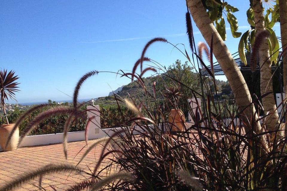 Vistas desde la terraza