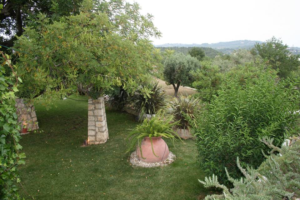 Vistas desde la terraza