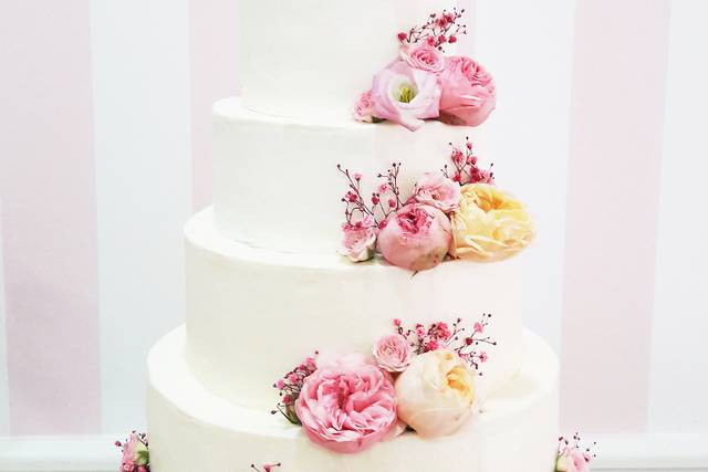 Cakes & Dreams