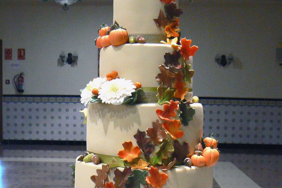 Cakes & Dreams