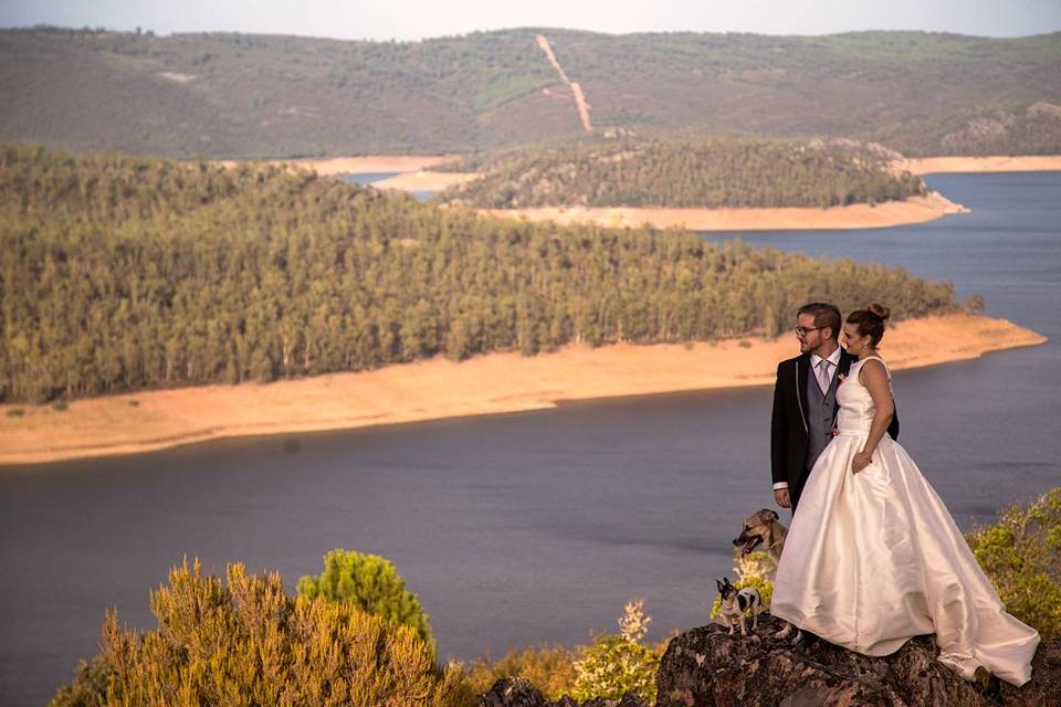 Postboda con animales