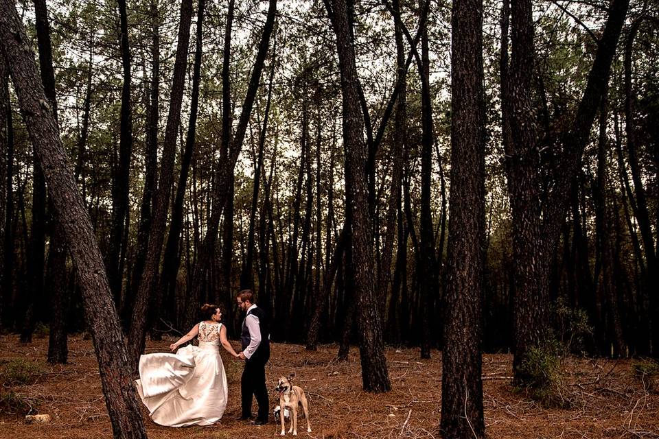 Grandes fotografias de boda